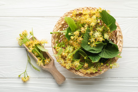 Beautiful linden flowers, green leaves in wicker basket and scoop on white wooden table, flat layの写真素材