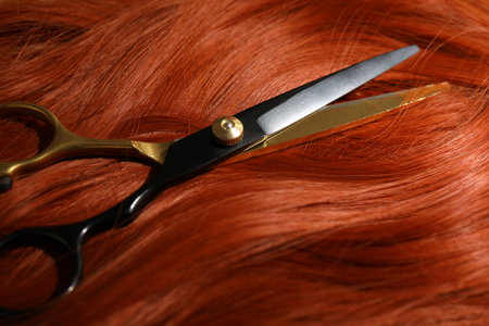 Scissors on hair lock, closeup. Hairdresser's toolの写真素材