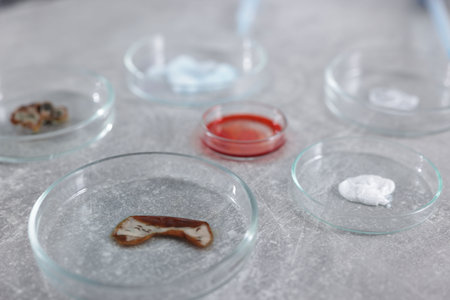 Petri dishes with different samples on gray table, closeupの写真素材