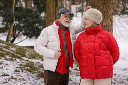 Lovely senior couple spending time together in parkの写真素材