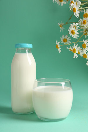 Fresh milk in glass, bottle and chamomile flowers on turquoise background. Dairy productの写真素材