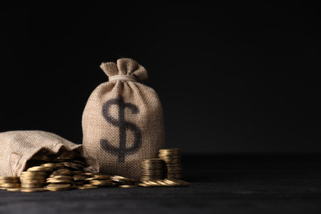 Bags with dollar sign and coins on dark background, space for textの写真素材
