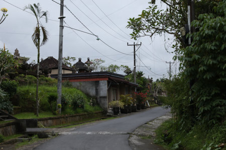 View of road and different plants in countrysideの写真素材