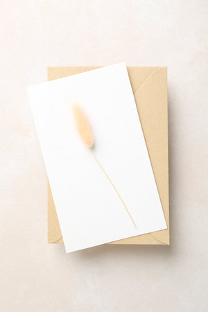 Blank invitation card, envelope and dry spike on beige background, top viewの写真素材