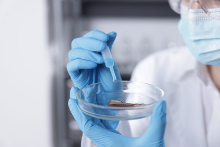Scientist working with sample in Petri dish in laboratory, closeupの写真素材