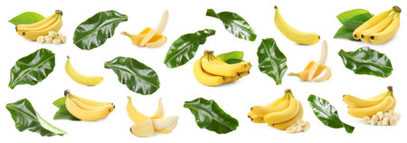 Yummy ripe banana fruits and green leaves on white background, collageの写真素材