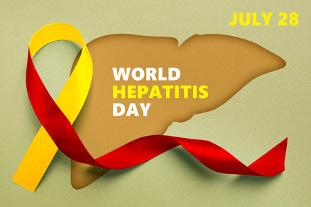 28th July World Hepatitis Day. Yellow-red awareness ribbon and illustration of liver on light green background, top viewの写真素材