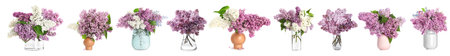 Beautiful bouquets with lilac flowers in vases on white background, setの写真素材