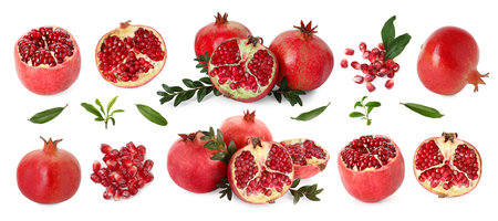 Pomegranate fruits and green leaves isolated on white, setの写真素材
