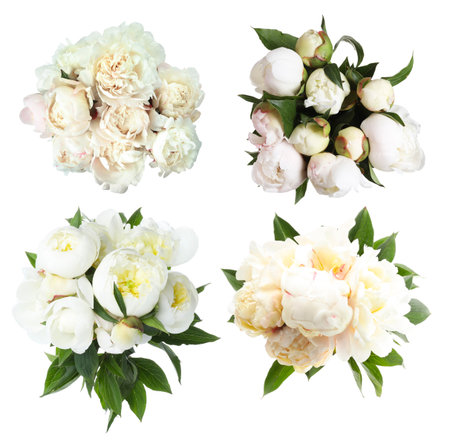 Beautiful bouquets of peony flowers on white background, collage. Top viewの写真素材