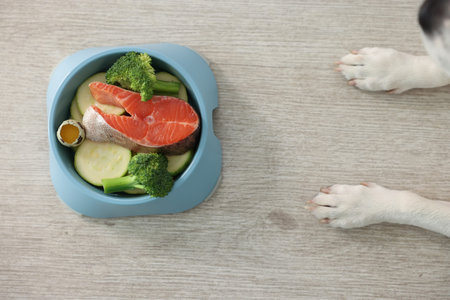 Dog and bowl with fresh natural products on floor, top view. Pet foodの写真素材