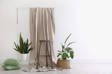 Photo zone with different potted plants in studioの写真素材