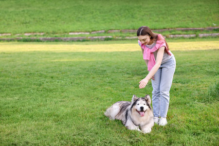Smiling woman training her cute Alaskan malamute dog on green grass outdoors. Space for textの写真素材