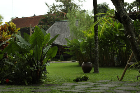 Pathway through park with different exotic plantsの写真素材
