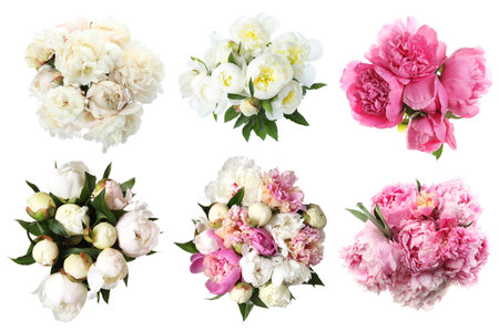 Beautiful bouquets of peony flowers on white background, collage. Top viewの写真素材