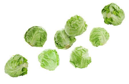 Fresh ripe cabbages falling on white backgroundの写真素材