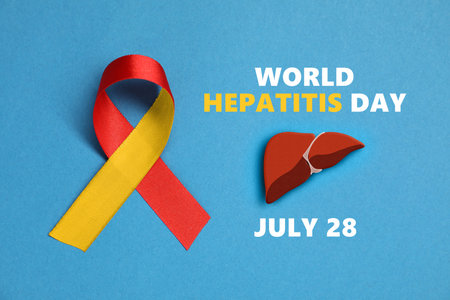 28th July World Hepatitis Day. Yellow-red awareness ribbon and illustration of liver on light blue background, top viewの写真素材