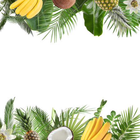 Fresh tropical fruits, flowers and green leaves on white backgroundの写真素材