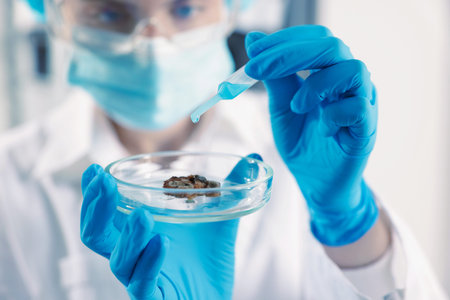 Scientist working with sample in Petri dish in laboratory, closeup
