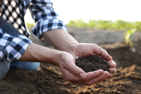 Man holding pile of soil in field, closeupの写真素材