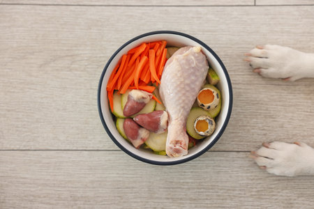 Dog and bowl with fresh natural products on floor at home, top view. Pet foodの写真素材