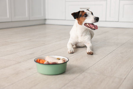 Cute dog and bowl with fresh natural products on floor at home, selective focus. Pet foodの写真素材