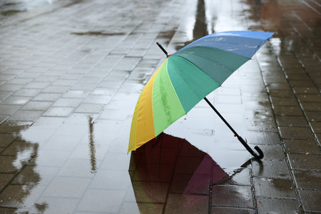 Colorful umbrella on wet asphalt outdoors, space for textの写真素材
