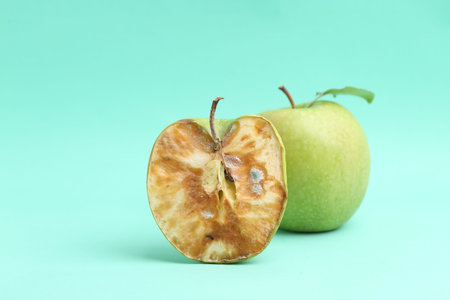 Spoiled apple and good ones on turquoise backgroundの写真素材