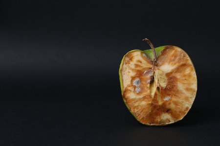 Half of spoiled apple on black background. Space for textの写真素材