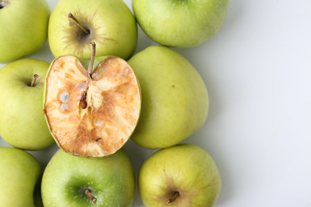 Spoiled apple and good ones on white background, flat layの写真素材