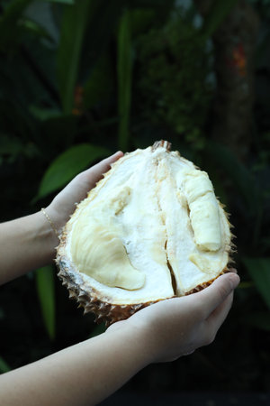 Woman with fresh ripe durian outdoors, closeup