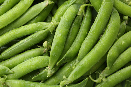 Fresh green pea pods as background, top viewの写真素材