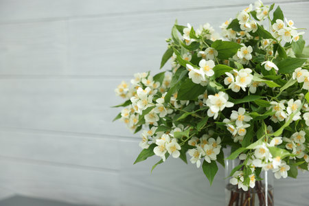 Beautiful jasmine flowers in vase near white wooden wall indoors, closeup. Space for textの写真素材