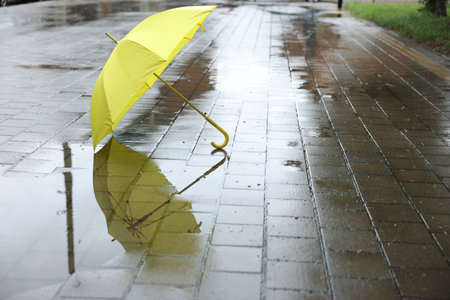 Yellow umbrella on wet asphalt outdoors, space for textの写真素材