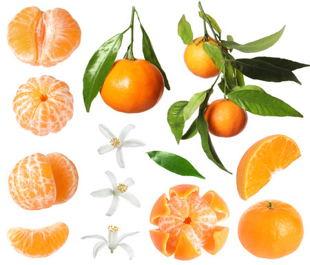 Tangerine, fruits, leaves and flowers on white background, setの写真素材