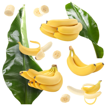 Fresh banana fruits and green leaves isolated on white, setの写真素材