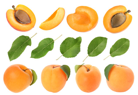 Fresh ripe apricot fruits and green leaves on white background, collageの写真素材