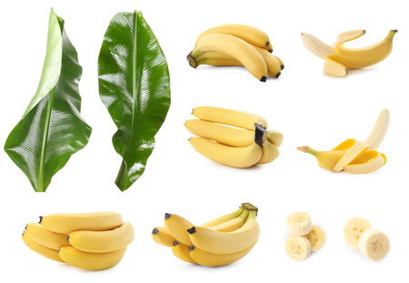 Fresh banana fruits and green leaves isolated on white, setの写真素材