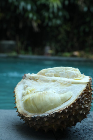 Fresh ripe durian on stone surface near swimming pool outdoors, closeupの写真素材