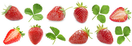 Fresh sweet strawberries and green leaves on white background, setの写真素材