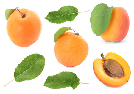 Fresh ripe apricot fruits and green leaves on white background, collageの写真素材
