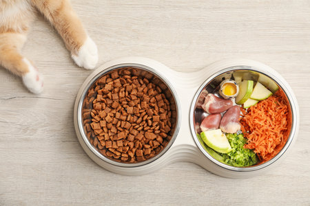 Cat with dry pet food and natural products on white wooden floor, top viewの写真素材