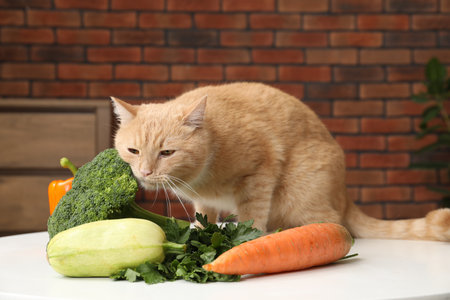 Cat and different vegetables on white table indoors. Pet's balanced dietの写真素材