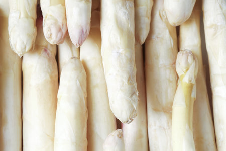 Raw white asparagus spears as background, closeupの写真素材