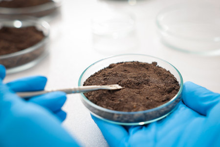 Scientist soil taking sample for research at table in laboratory, closeupの写真素材