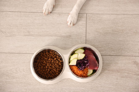 Dog and bowls with fresh natural products and dry pet food on floor, top viewの写真素材