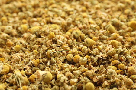 Dry chamomile flowers as background, closeup viewの写真素材