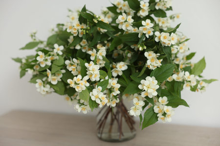 Beautiful jasmine flowers in vase on table indoors, closeupの写真素材
