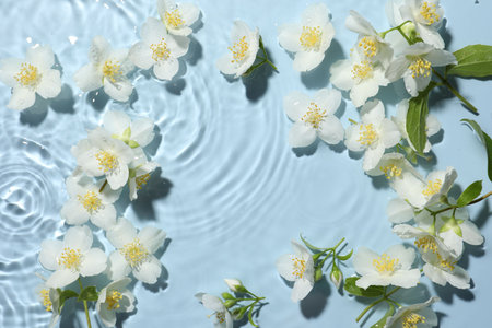 Beautiful jasmine flowers in water on light blue background, flat layの写真素材