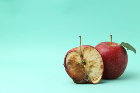 Spoiled apple and good ones on turquoise background. Space for textの写真素材